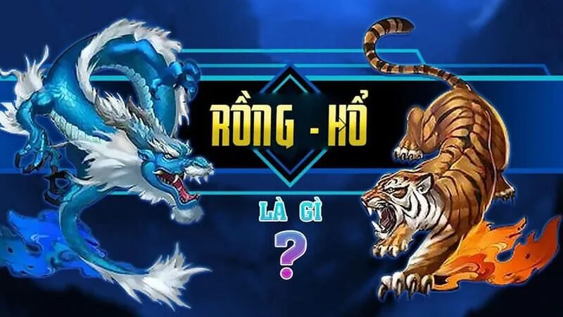 Tấn tần tật về cách chơi Rồng hổ Sbobet cho tân thủ